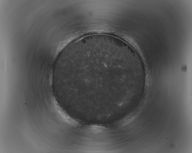 X0000111830393200907301325