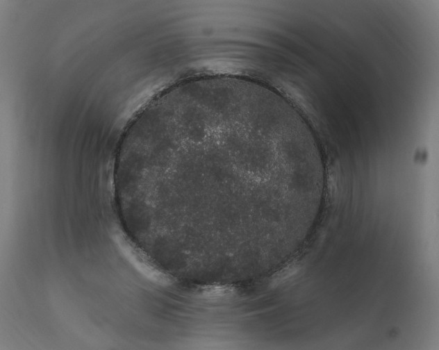 X0000111830398200907301325