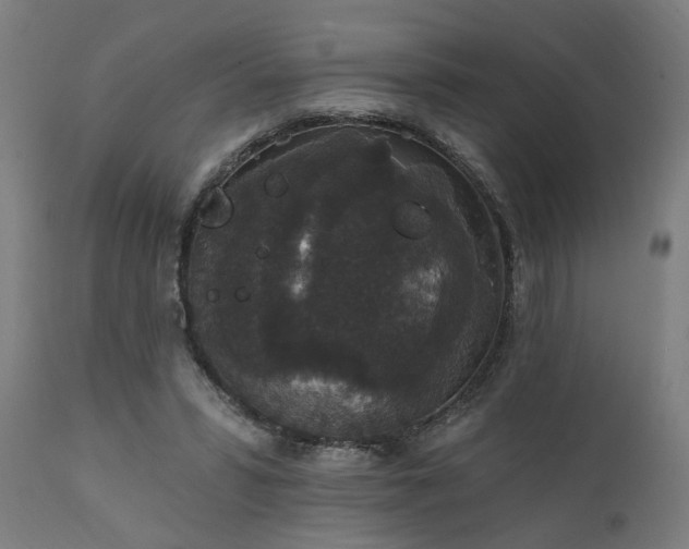 X0000111830399200907301325