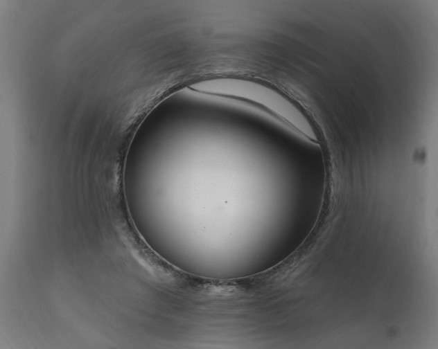 X0000111830401200907301325