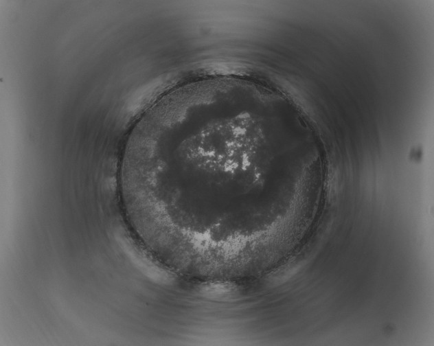 X0000111830402200907301325