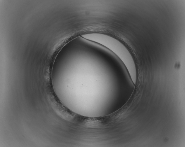X0000111830403200907301325