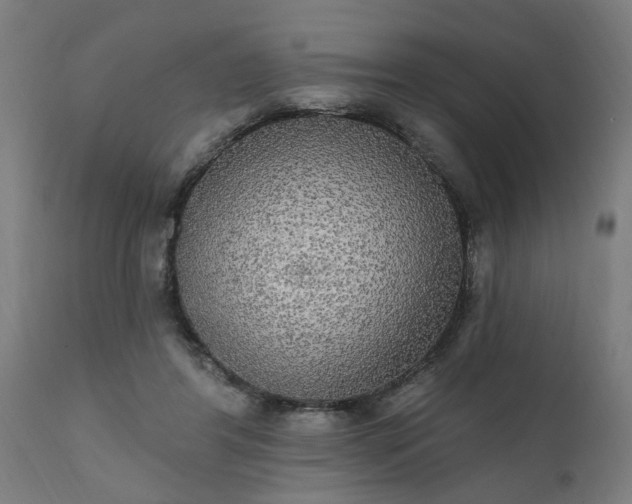 X0000111830404200907301325