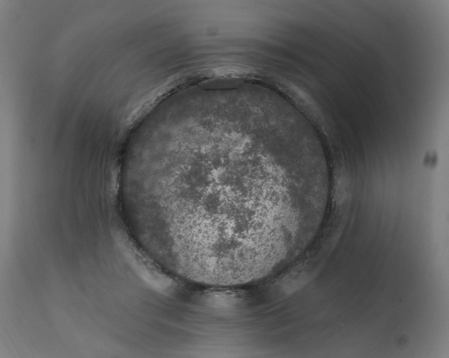 X0000111830405200907301325