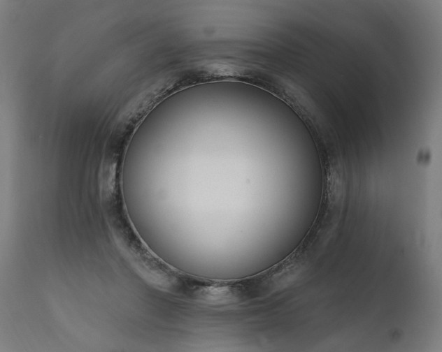 X0000111830406200907301325