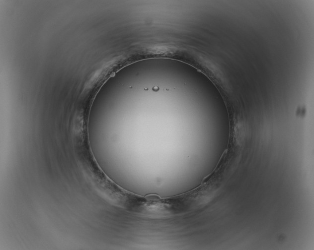 X0000111830407200907301325