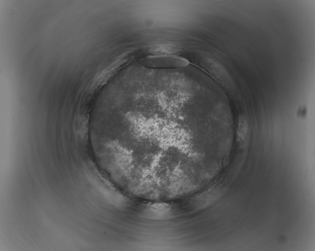 X0000111830409200907301325