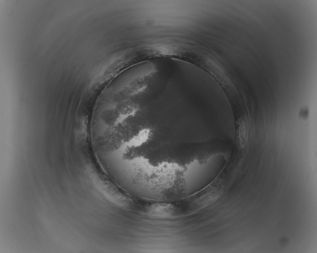 X0000111830410200907301325