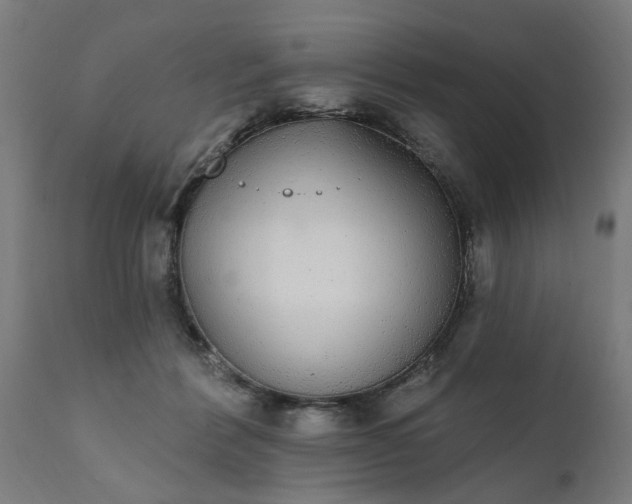 X0000111830412200907301325