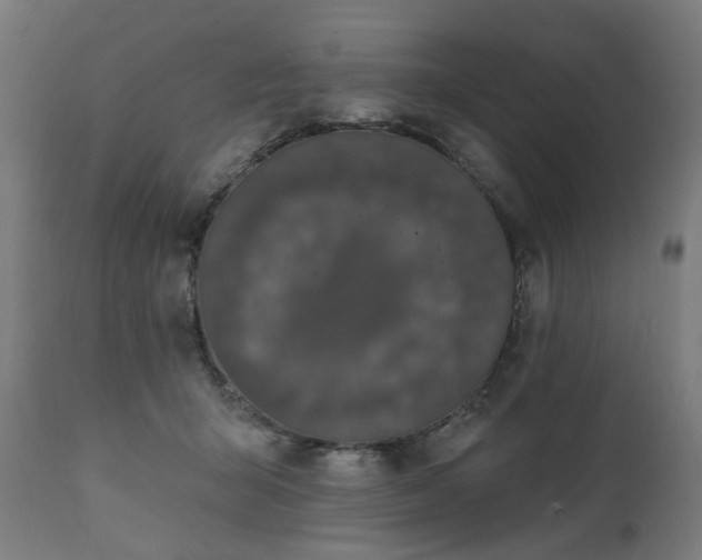 X0000111830415200907301325