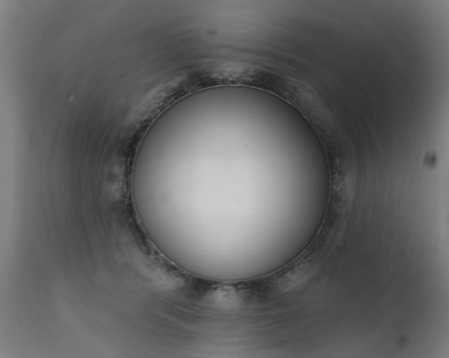 X0000111830416200907301325