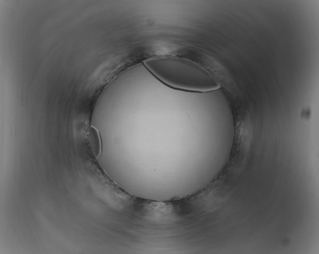 X0000111830421200907301325