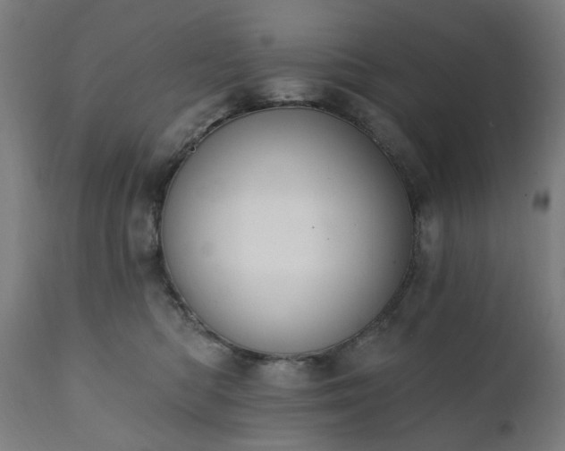 X0000111830422200907301325