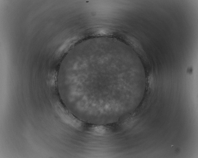 X0000111830423200907301325