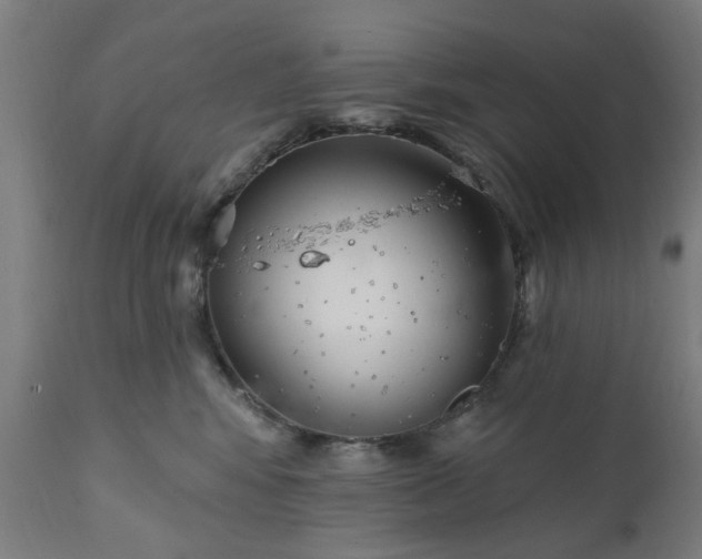 X0000111830424200907301324