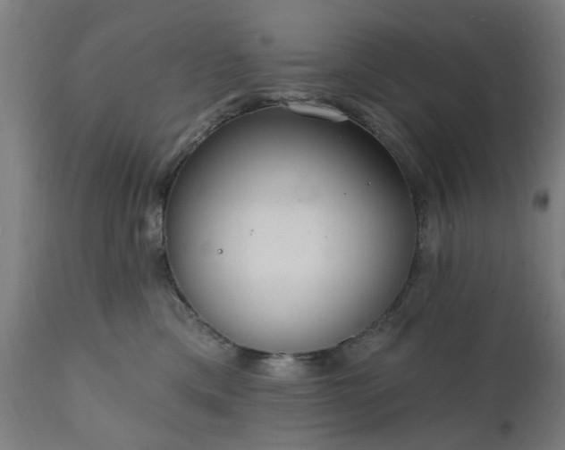 X0000111830425200907301324