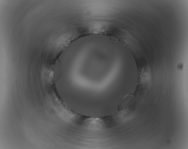 X0000111830427200907301324