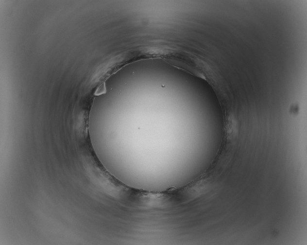 X0000111830428200907301324