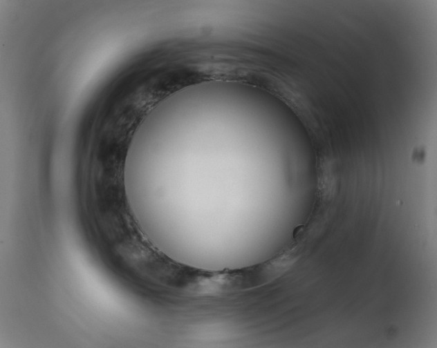 X0000111830430200907301324
