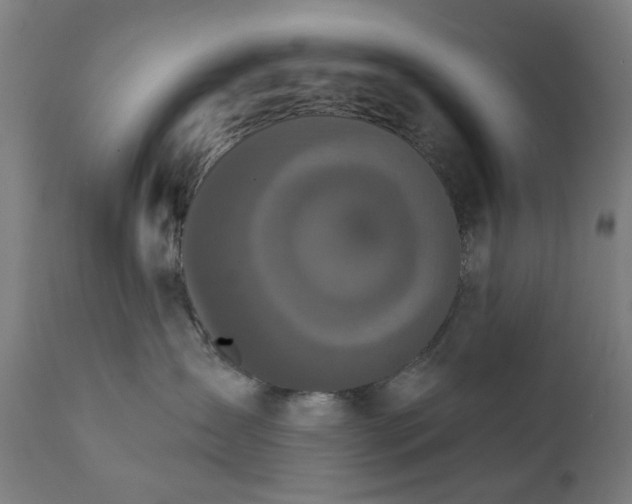 X0000111830431200907301324