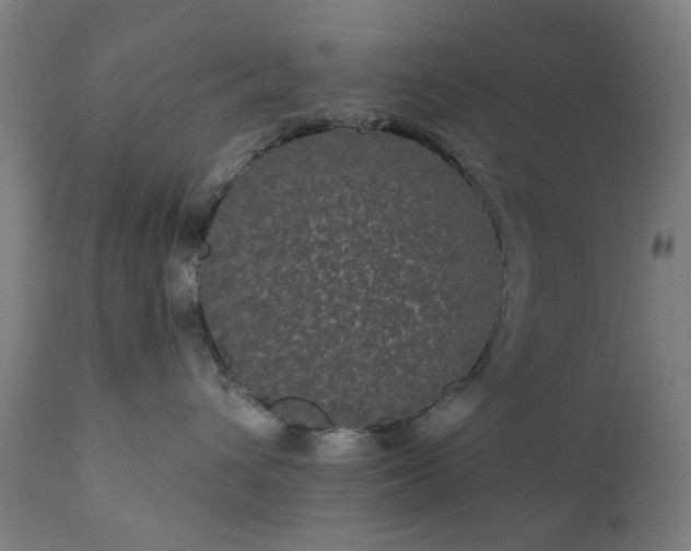 X0000111830432200907301324