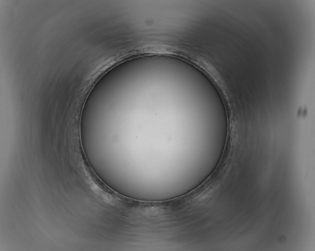 X0000111830433200907301324