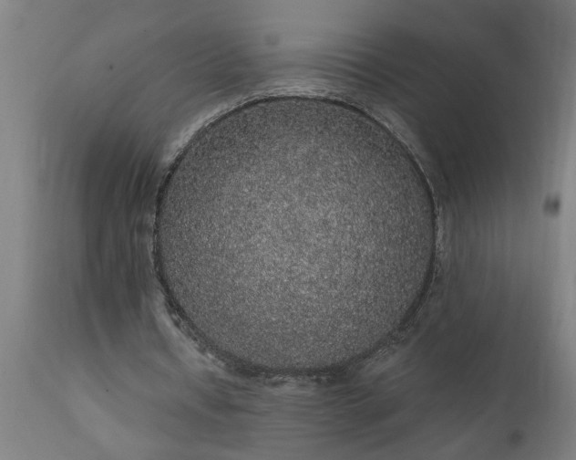 X0000111830434200907301324