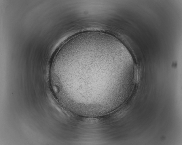 X0000111830435200907301324