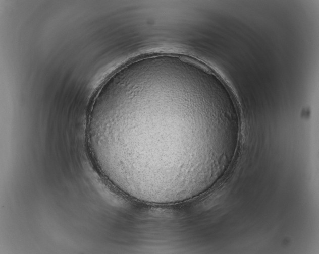 X0000111830437200907301324