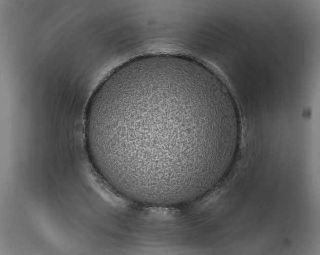X0000111830439200907301324