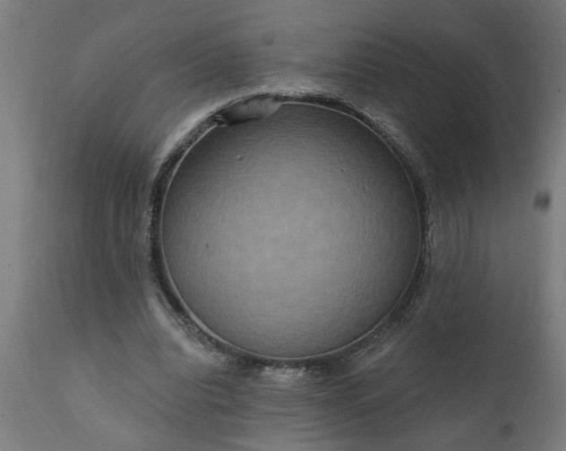 X0000111830440200907301324