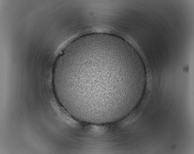 X0000111830442200907301324