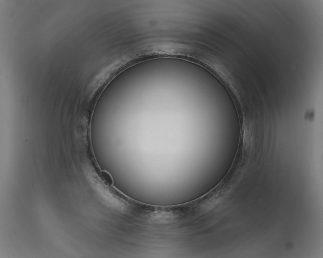 X0000111830445200907301324