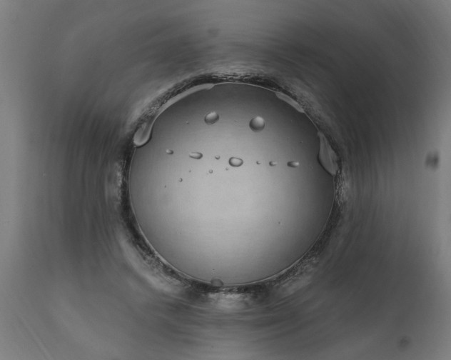 X0000111830448200907301324