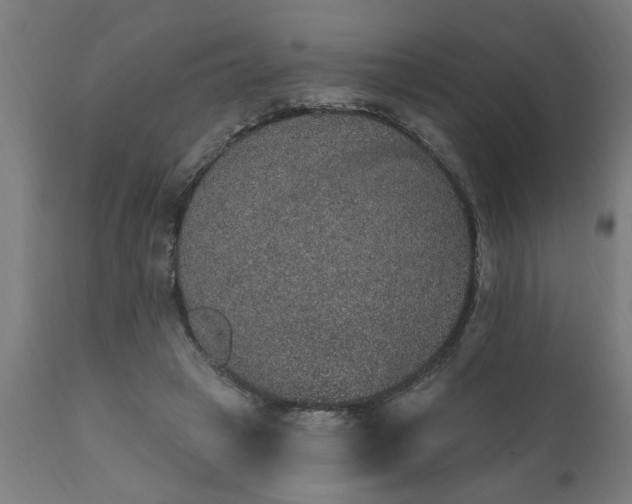 X0000111830449200907301324