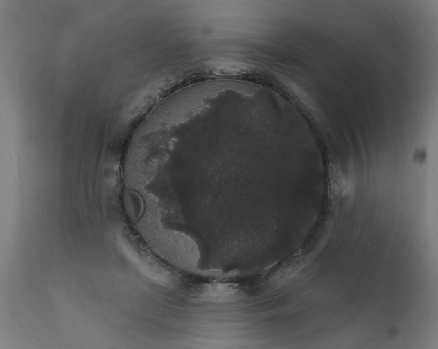 X0000111830451200907301324