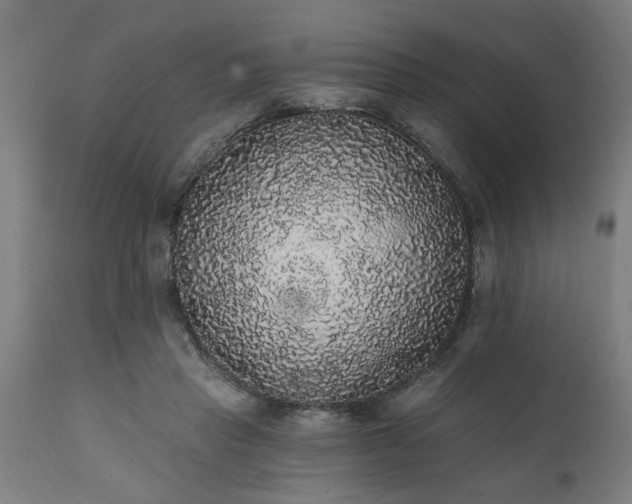 X0000111830453200907301324