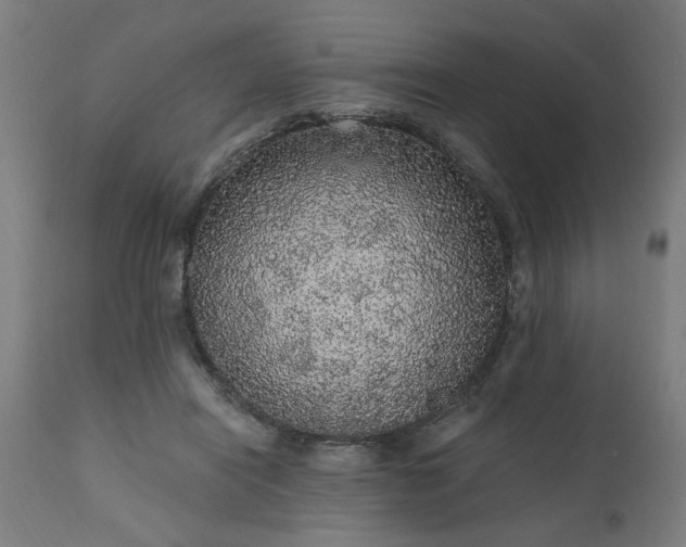 X0000111830454200907301324