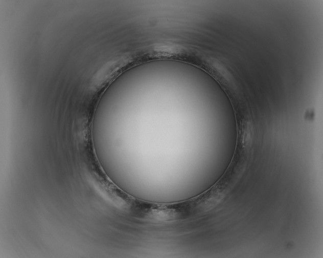 X0000111830455200907301324