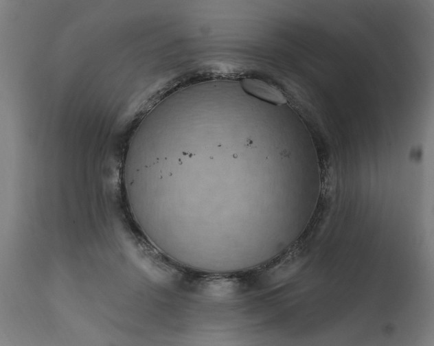 X0000111830456200907301324