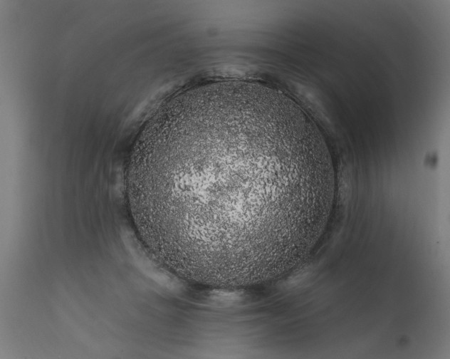 X0000111830457200907301324
