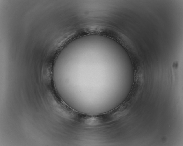 X0000111830460200907301324