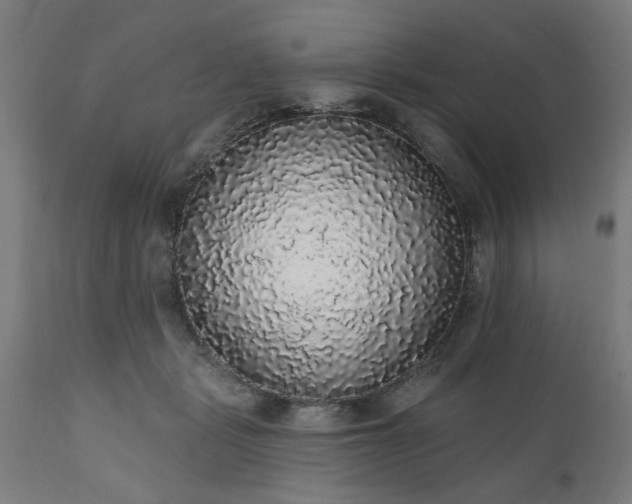 X0000111830461200907301324