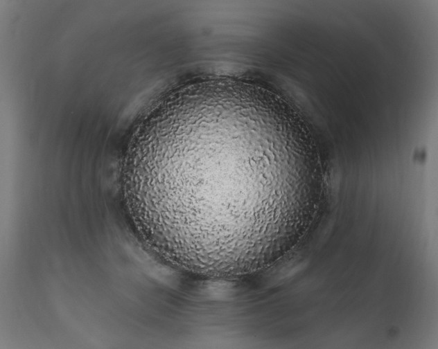X0000111830462200907301324