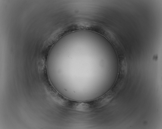 X0000111830463200907301324
