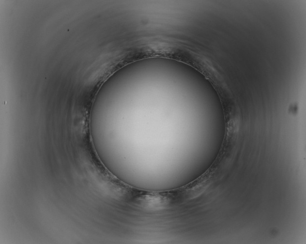 X0000111830464200907301324