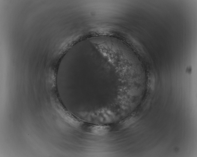 X0000111830465200907301324