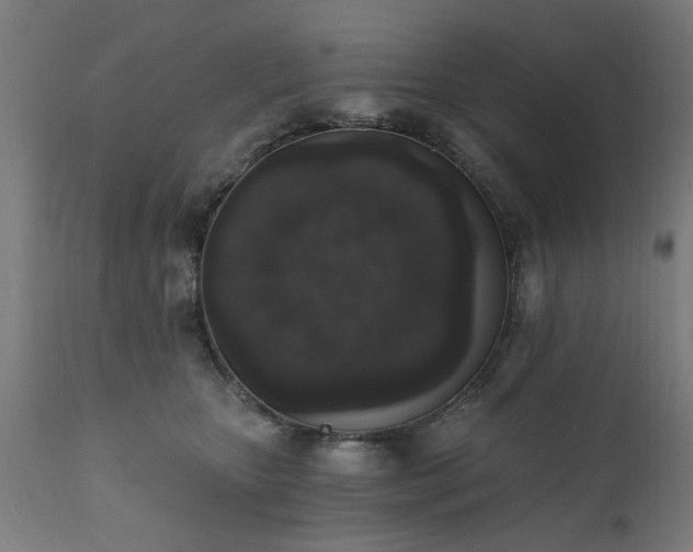 X0000111830467200907301324