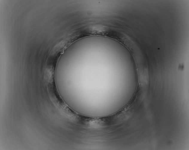 X0000111830468200907301324