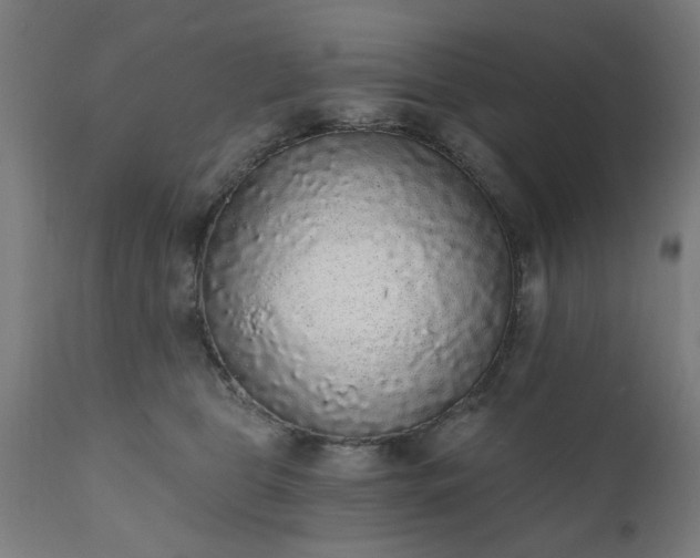 X0000111830469200907301324